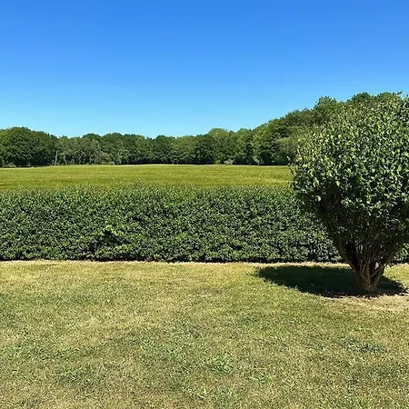 Daire Altes Zollhaus Direkt Am Ostseestrand Dassow