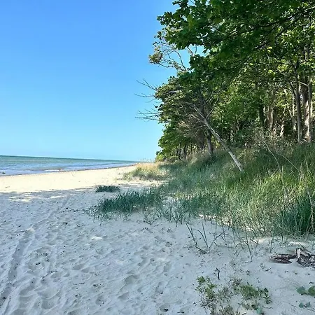 Altes Zollhaus Direkt Am Ostseestrand Daire *